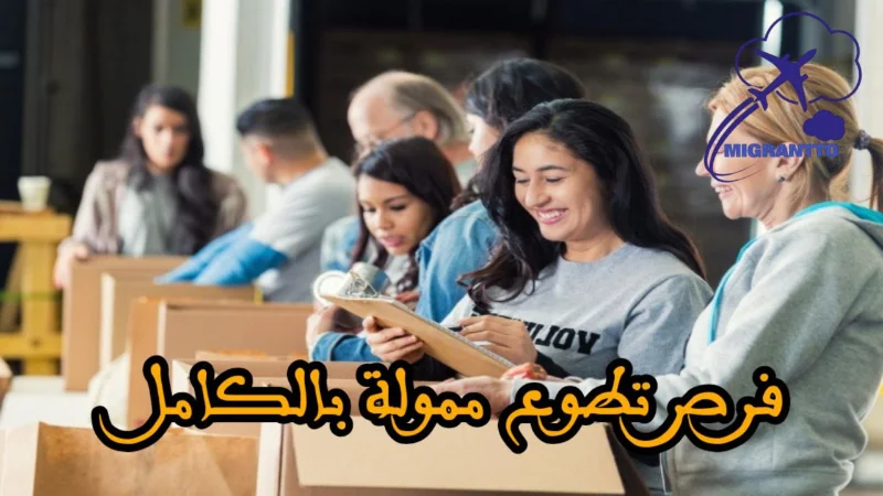 فرص تطوع ممولة بالكامل