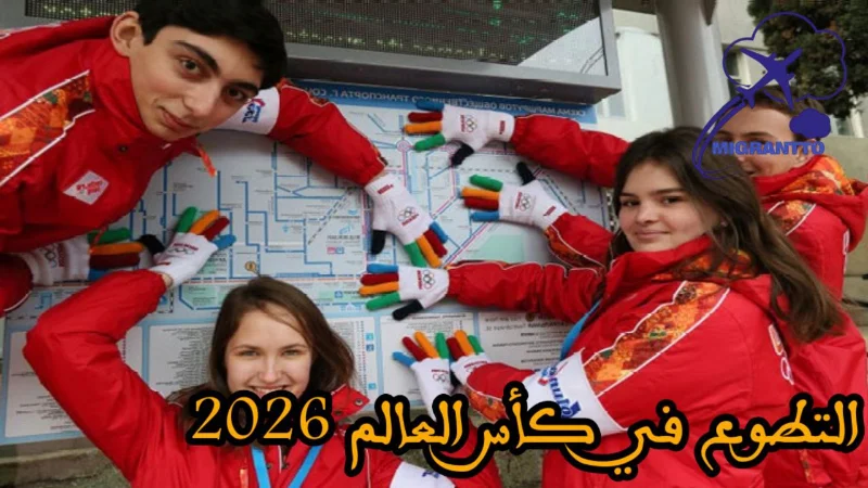 التطوع في كأس العالم 2026