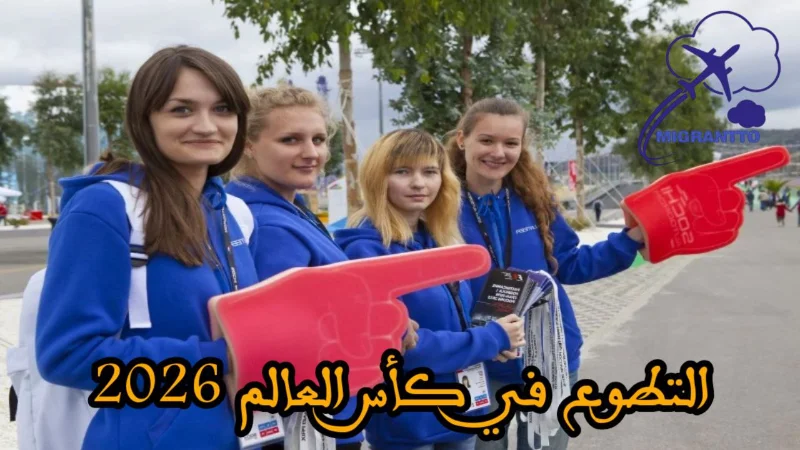 التطوع في كأس العالم 2026