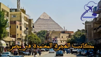 مكاتب الهجرة المعتمدة في مصر