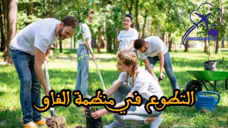 التطوع في منظمة الفاو