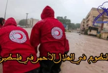 التطوع في الهلال الأحمر الفلسطيني