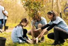 تجارب المتطوعين العرب في أوروبا