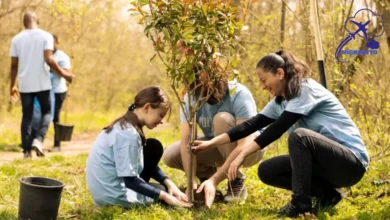 تجارب المتطوعين العرب في أوروبا