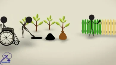 متطلبات التطوع في أوروبا للعرب