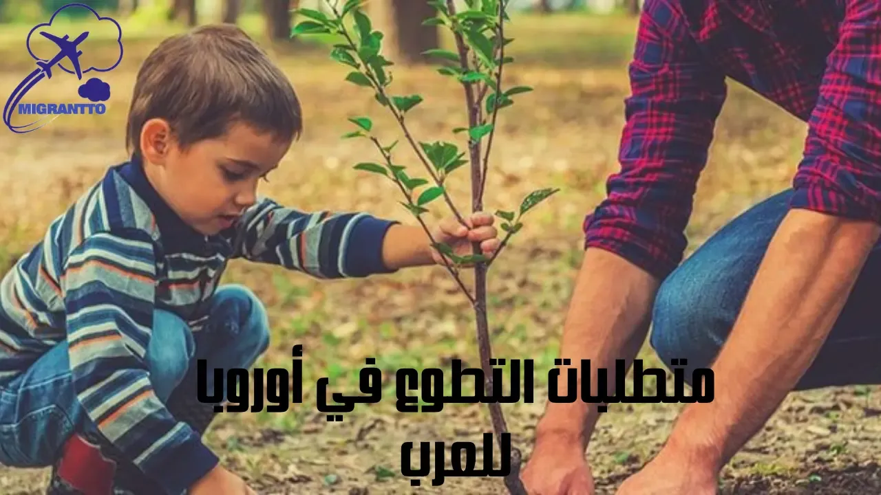 متطلبات التطوع في أوروبا للعرب