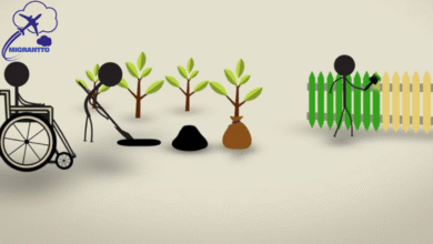 فرص تطوع صحي ممولة في أوروبا