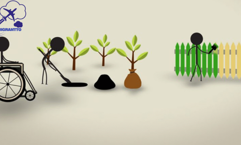 فرص تطوع صحي ممولة في أوروبا