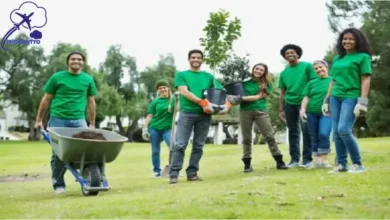 منظمات الأمم المتحدة للتطوع